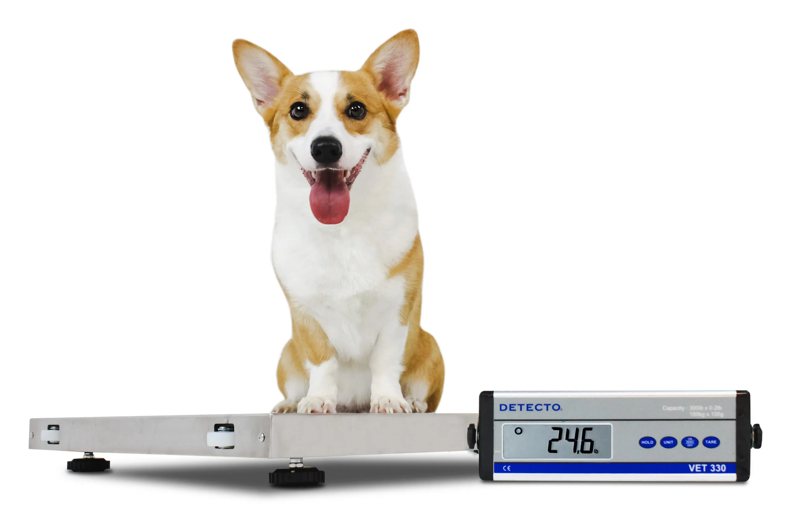 Detecto Veterinarian Scale VET330WH 1