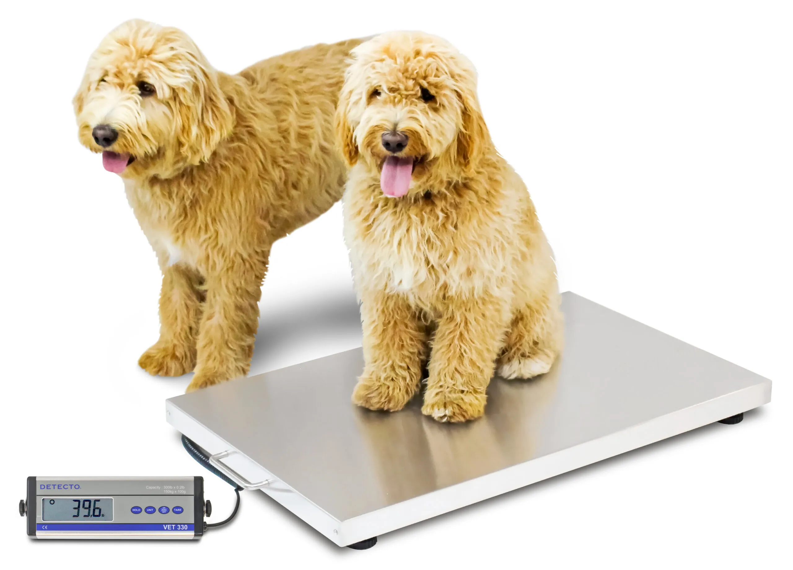 Detecto Veterinarian Scale VET330WH 1