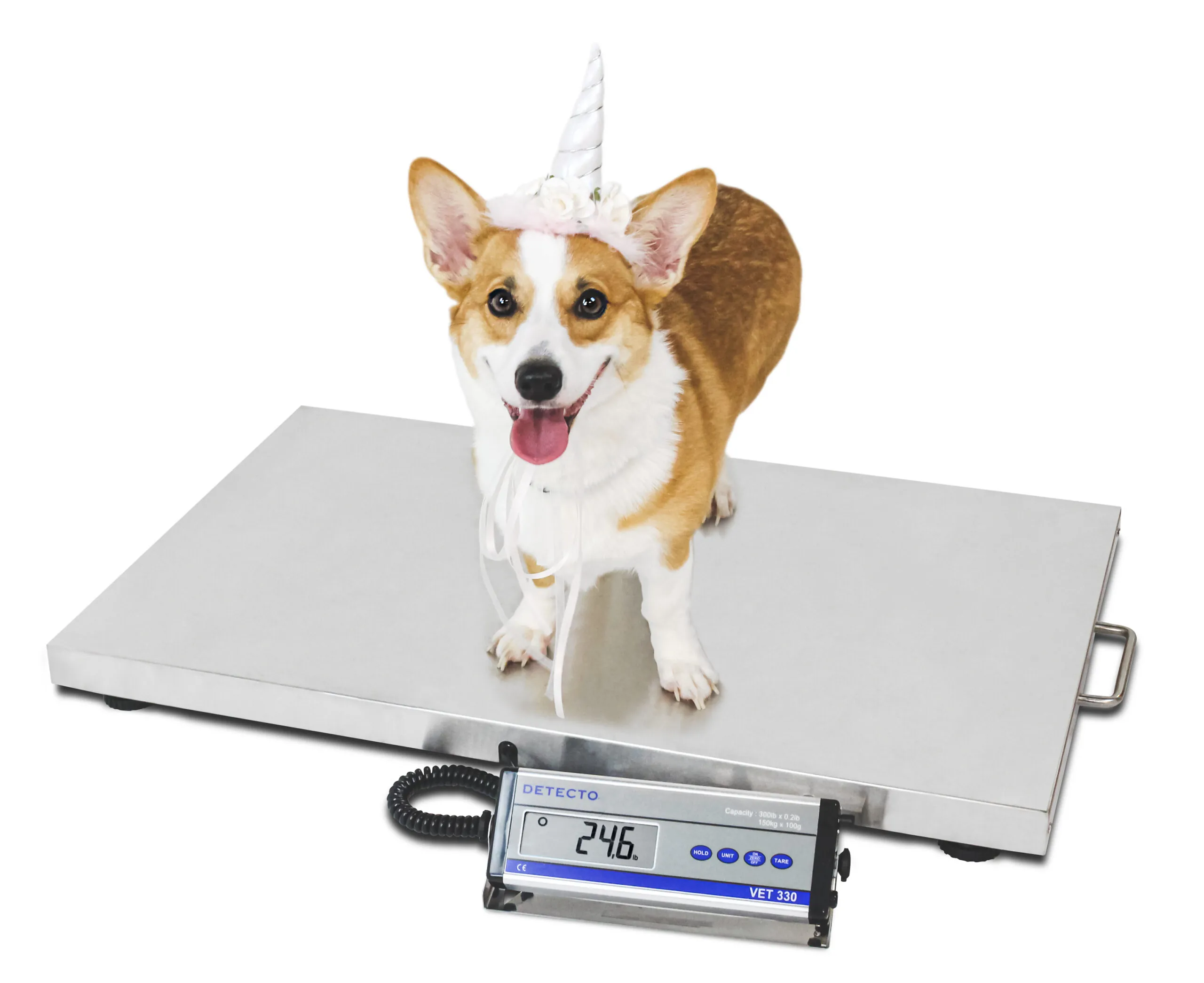 Detecto Veterinarian Scale VET330WH 1