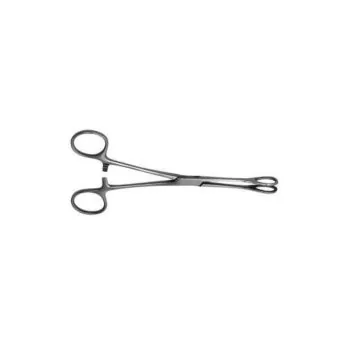 FOERSTER Sponge Forcep, L9.5"