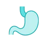 Stomach