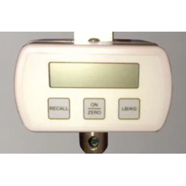 Digital Weigh Scale, Optional