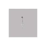 Scale Pin/Chain Assembly