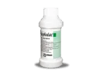 Actigall (Ursodeoxycholic Acid)