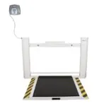 Antimicrobial Wall-mounted Fold-Up Wheelchair Scale, KG Only