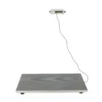 Large Platform Digital Scale