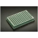 SIMPORT AMPLATE™ 96 - WELL THIN-WALLED PCR PLATES